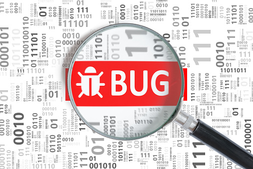 Computer Security Bug